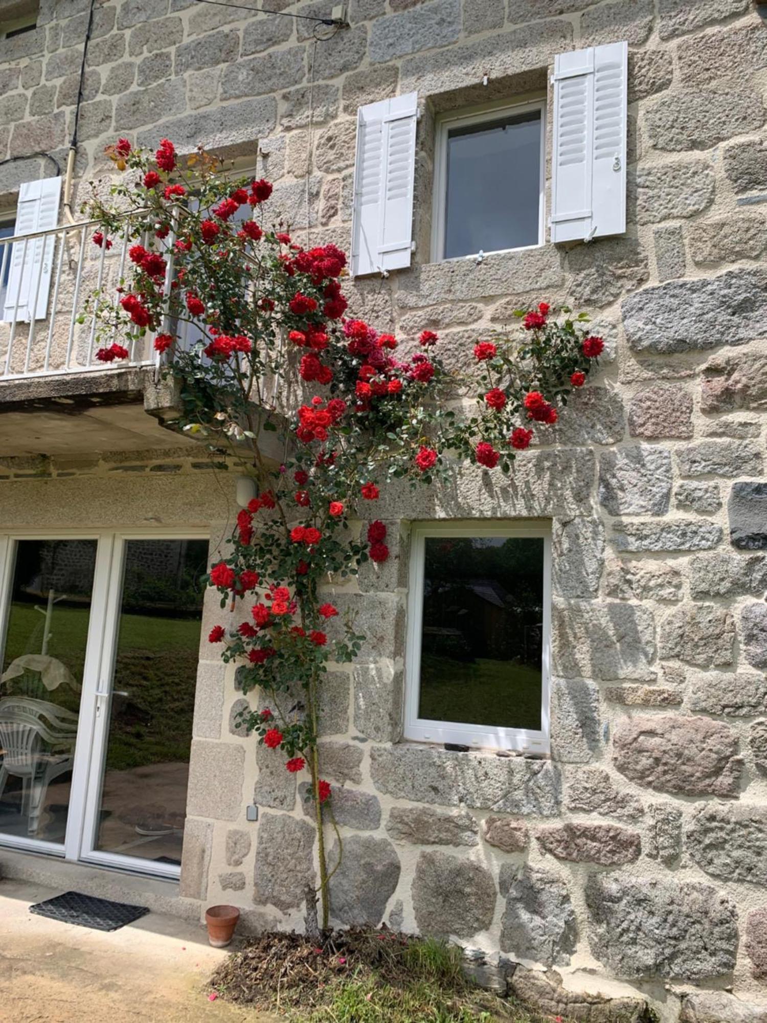Ferme Au Calme A 15Mn Du Chambon Sur Lignon Villa Saint-Jeures Luaran gambar